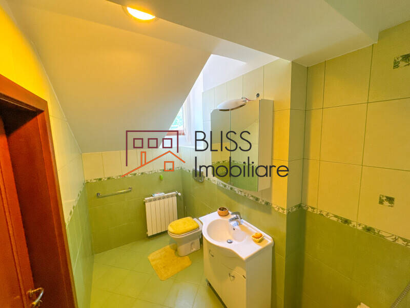 Conac Victorian, 9 Dormitoare, Piscine Interioara-exterioara, Pipera | Bliss Imobiliare / Photo 43 - BLISS Imobiliare