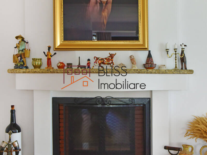 Vila Individuala Cu Gradina Pentru Familie Sau Business | Bliss Imobiliare / Photo 33 - BLISS Imobiliare