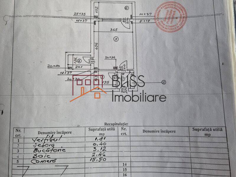 Studio Apartment In Blocul Liric – 28 Sqm, Cismigiu Park View, KM 0, Bucharest | Bliss Imobiliare / Photo 15 - BLISS Imobiliare