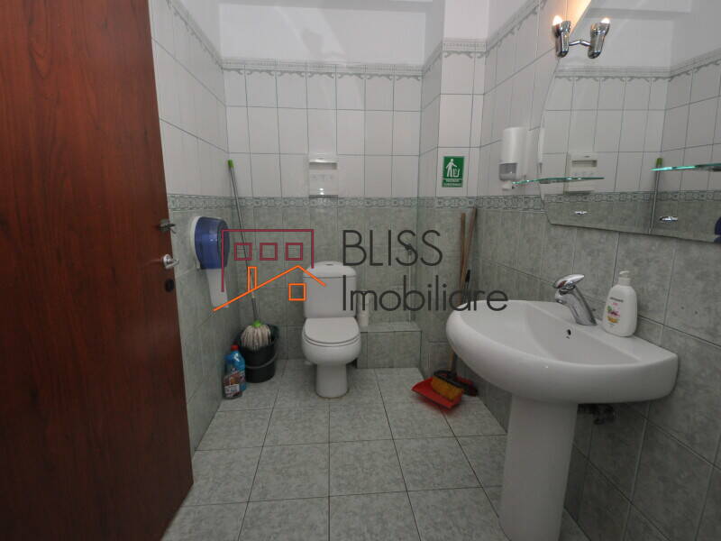 Vila 11 Camere Herastrau – 350 Mp, Gradina 280 Mp, Renovata 2022 | Bliss Imobiliare / Photo 13 - BLISS Imobiliare