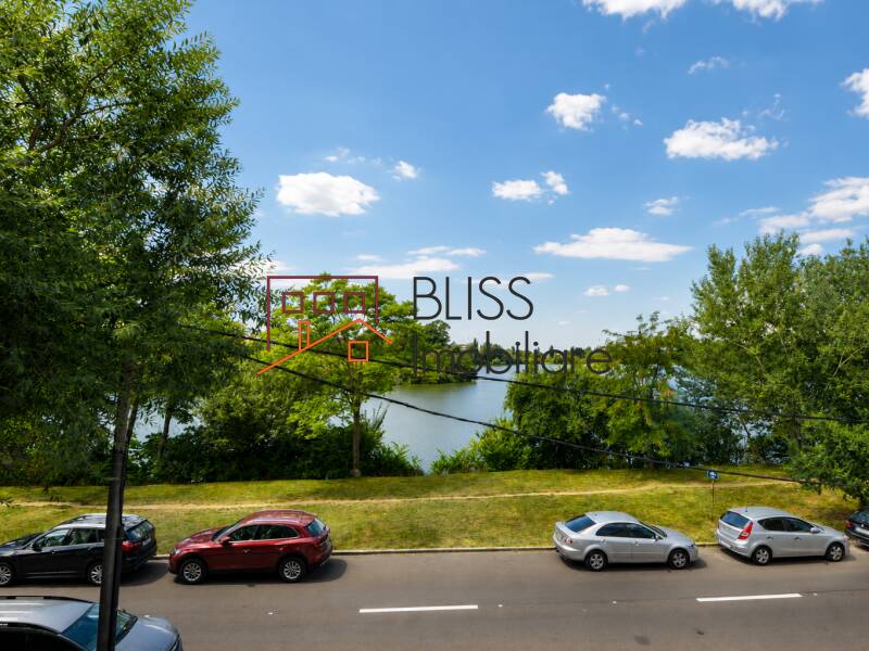 4-Bedroom Villa Baneasa – 315 Sqm, Lake View, En-Suite Bedrooms, Bucharest | Bliss Imobiliare / Photo 4 - BLISS Imobiliare