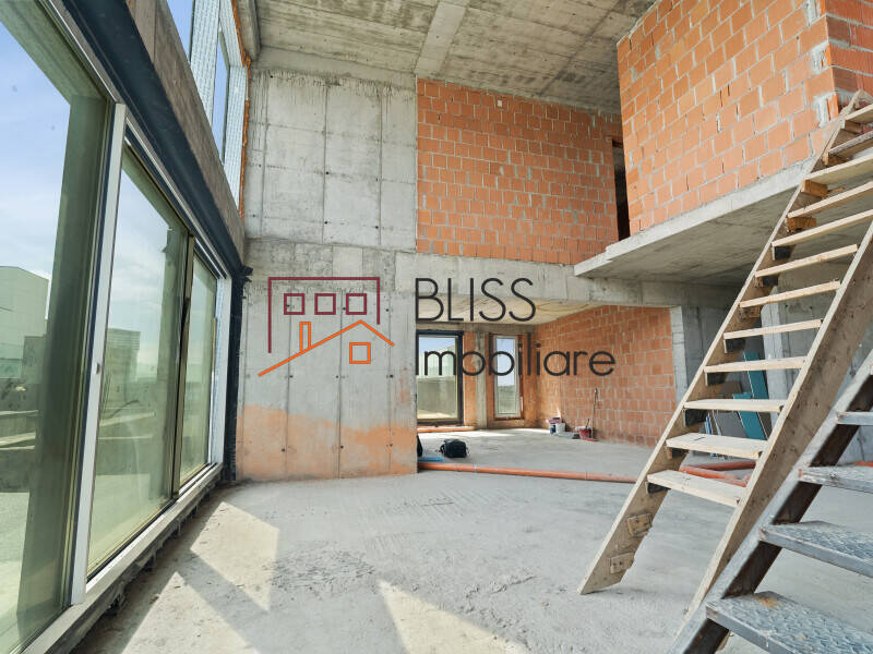 Duplex Penthouse Cloud9 – 370 Sqm, Shell Condition, 8-12 Parking, Bucharest | Bliss Imobiliare / Photo 2 - BLISS Imobiliare