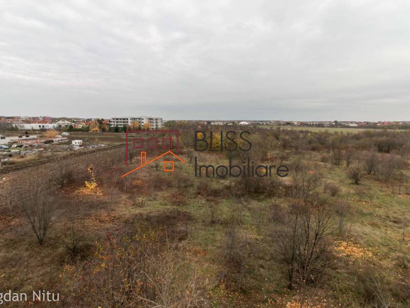 Vila de Inchiriat Iancu Nicolae | Pipera - 7 Camere - ID:30969 | Bliss Imobiliare / Photo 48 - BLISS Imobiliare