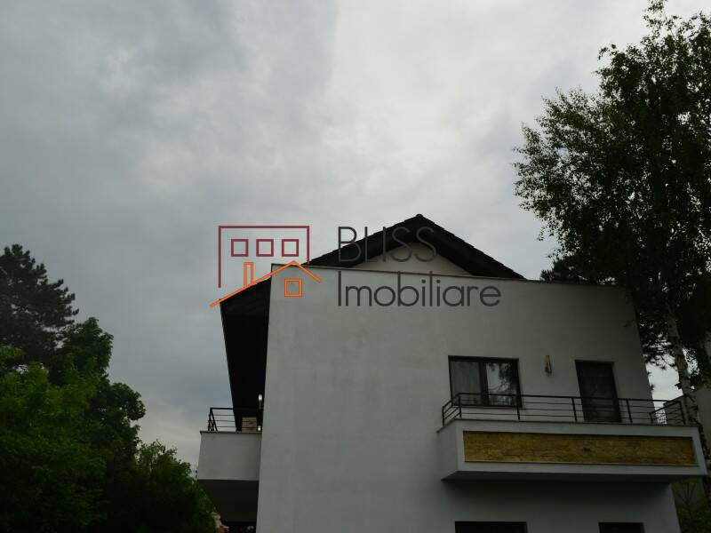 Vila de Inchiriat Iancu Nicolae | Pipera - 6 Camere - ID:31061 | Bliss Imobiliare / Photo 75 - BLISS Imobiliare