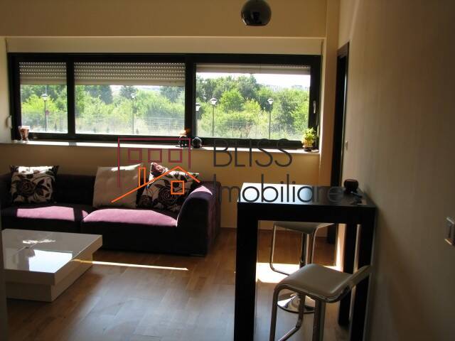 1 Bedroom Apartment, Bucharest | Bliss Imobiliare / Photo 3 - BLISS Imobiliare