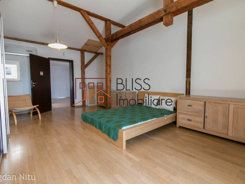 Villa for Rent KM 0 | Ultracentral, Bucharest - 4 Bedroom - ID:4477 | Bliss Imobiliare / Photo 49 - BLISS Imobiliare