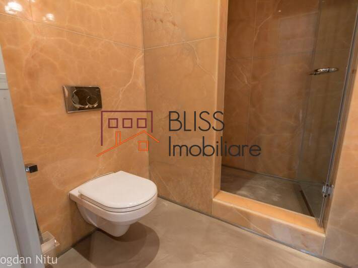 Apartament Penthouse de Vanzare Floreasca | Barbu Vacarescu - 3 Camere - ID:4581 | Bliss Imobiliare / Photo 15 - BLISS Imobiliare