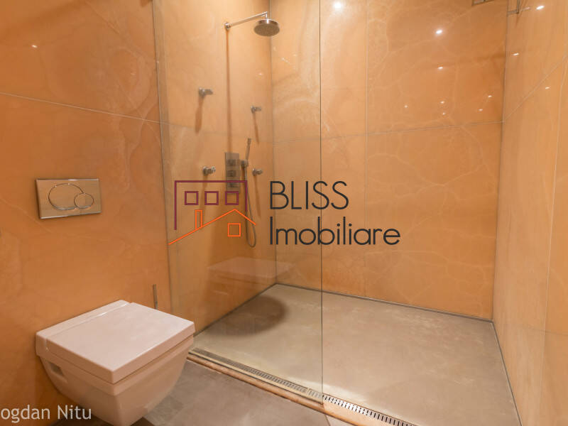 Apartament Penthouse de Vanzare Floreasca | Barbu Vacarescu - 3 Camere - ID:4581 | Bliss Imobiliare / Photo 23 - BLISS Imobiliare