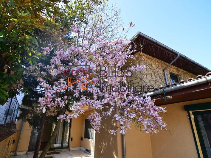 Vila de Inchiriat Dorobanti | Primaverii | Kiseleff | Aviatorilor - 6 Camere - ID:36728 | Bliss Imobiliare / Photo 15 - BLISS Imobiliare