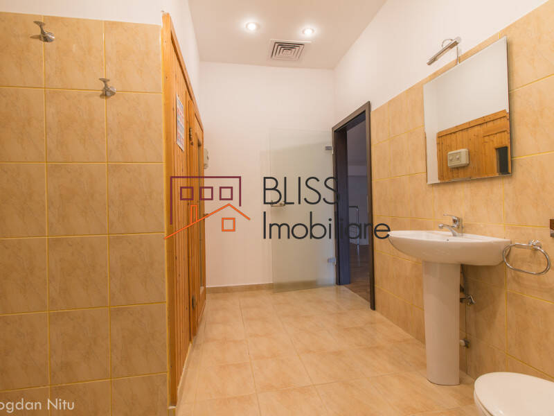 Vila de Inchiriat Iancu Nicolae | Pipera - 9 Camere - ID:36899 | Bliss Imobiliare / Photo 37 - BLISS Imobiliare