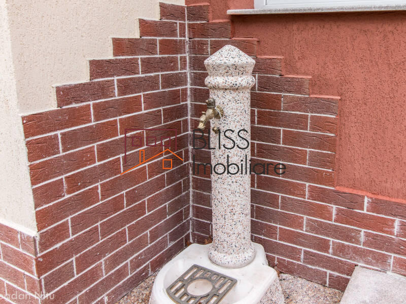 Villa for Rent Iancu Nicolae | Pipera, Bucharest / Ilfov - 6 Bedroom - ID:36899 | Bliss Imobiliare / Photo 43 - BLISS Imobiliare