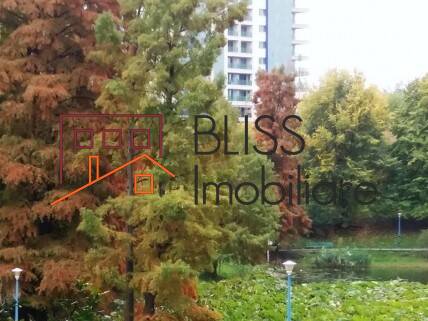 Photo 5 - BLISS Imobiliare