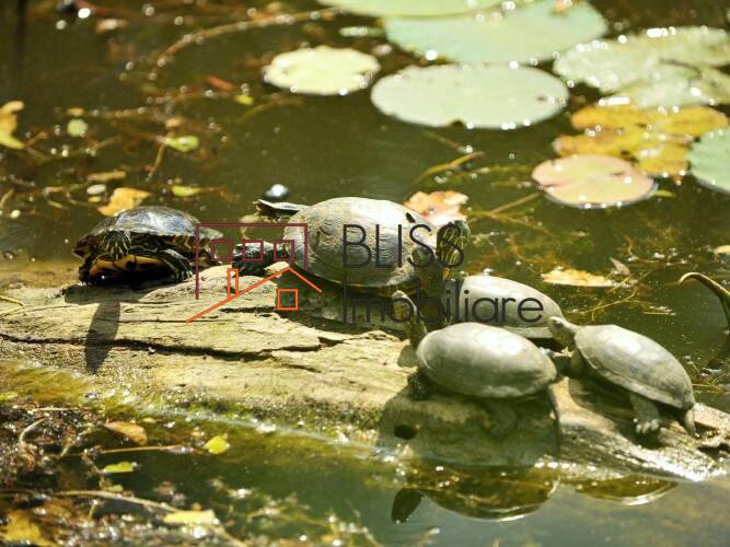 Photo 6 - BLISS Imobiliare