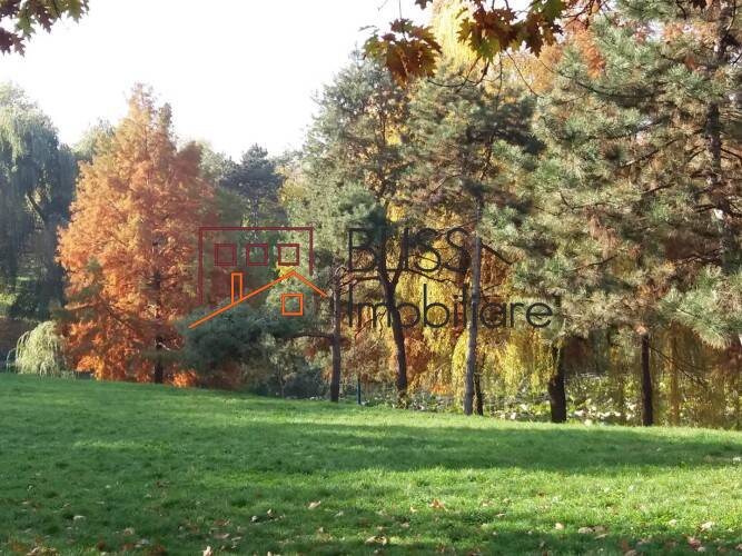 Photo 10 - BLISS Imobiliare