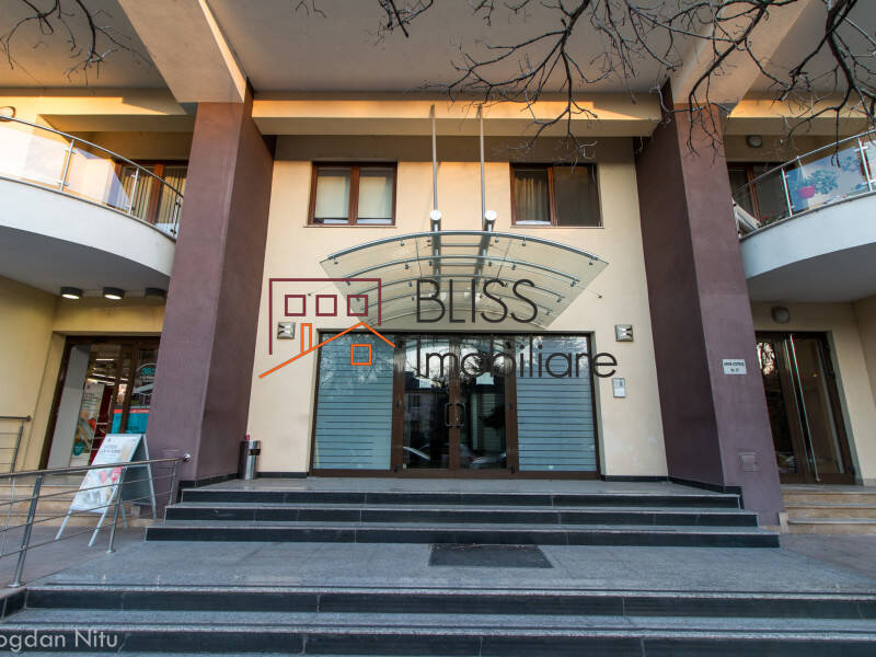 Apartament Penthouse de Inchiriat Herastrau | Nordului - 4 Camere - ID:41002 | Bliss Imobiliare / Photo 36 - BLISS Imobiliare