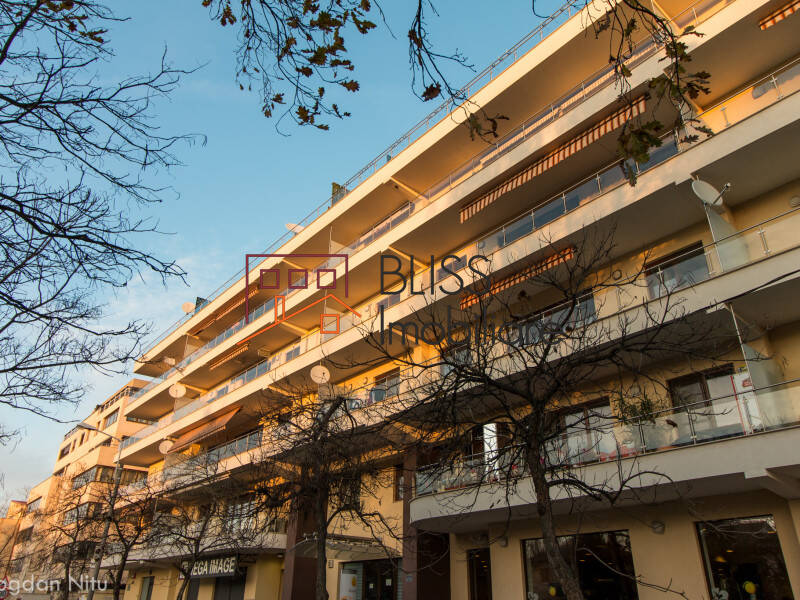 Apartament Penthouse de Inchiriat Herastrau | Nordului - 4 Camere - ID:41002 | Bliss Imobiliare / Photo 38 - BLISS Imobiliare