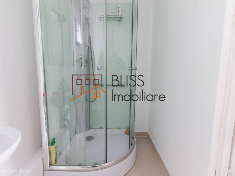 House for Sale Bucurestii Noi - Damaroaia - Chitila, Bucharest - 4 Rooms - ID:41793 | Bliss Imobiliare / Photo 20 - BLISS Imobiliare