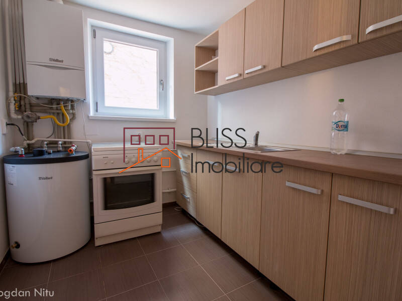 Vila de Inchiriat Dorobanti | Primaverii | Kiseleff | Aviatorilor - 10 Camere - ID:42290 | Bliss Imobiliare / Photo 16 - BLISS Imobiliare