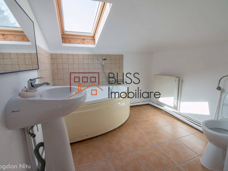 Vila de Inchiriat Dorobanti | Primaverii | Kiseleff | Aviatorilor - 10 Camere - ID:42290 | Bliss Imobiliare / Photo 30 - BLISS Imobiliare