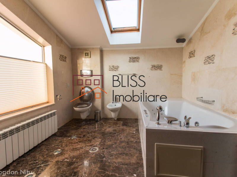 Vila de Inchiriat Snagov - 12 Camere - ID:42717 | Bliss Imobiliare / Photo 64 - BLISS Imobiliare
