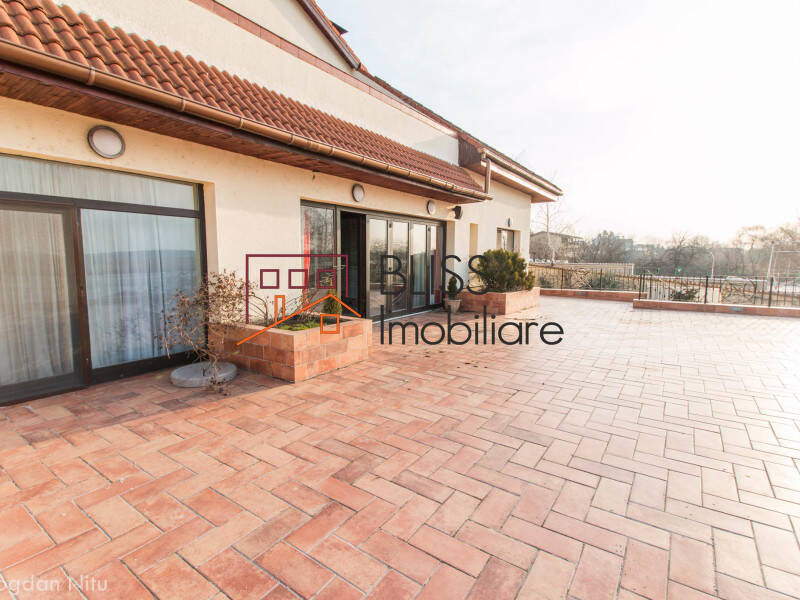 Vila de Inchiriat Snagov - 12 Camere - ID:42717 | Bliss Imobiliare / Photo 68 - BLISS Imobiliare