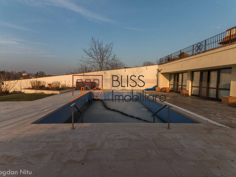 Vila de Inchiriat Snagov - 12 Camere - ID:42717 | Bliss Imobiliare / Photo 74 - BLISS Imobiliare