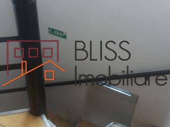 Villa for Rent Piata Victoriei, Bucharest - 4 Bedroom - ID:44825 | Bliss Imobiliare / Photo 7 - BLISS Imobiliare