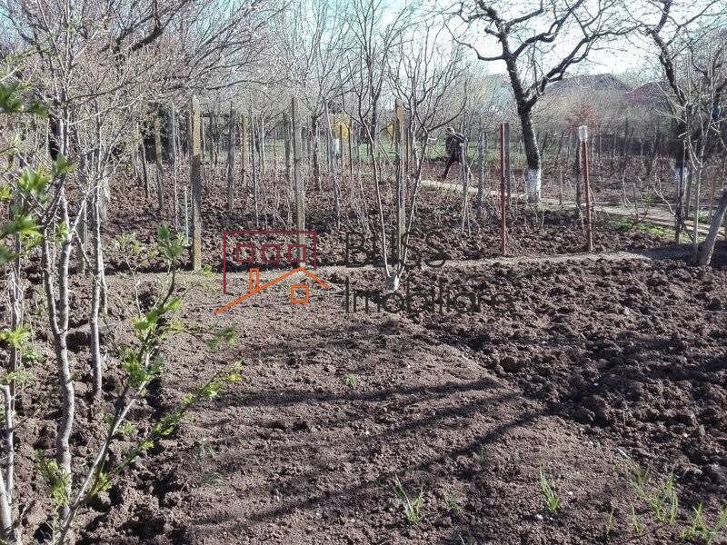 Casa de Vanzare Mogosoaia - 2 Camere - ID:45615 | Bliss Imobiliare / Photo 3 - BLISS Imobiliare