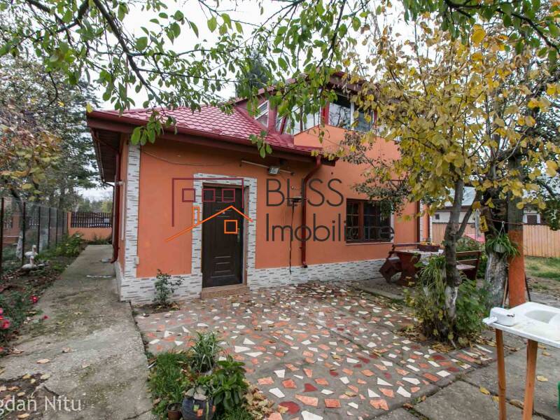 Casa de Vanzare Oras Voluntari - 6 Camere - ID:46560 | Bliss Imobiliare / Photo 30 - BLISS Imobiliare