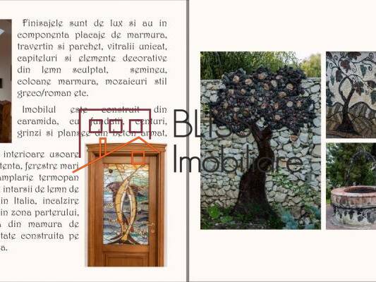 Villa for Rent Corbeanca, Bucharest / Ilfov - 6 Bedroom - ID:47282 | Bliss Imobiliare / Photo 14 - BLISS Imobiliare