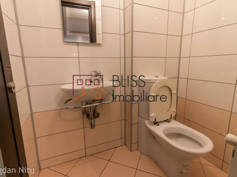 Apartament Spatios Cu 3 Dormitoare Si Gradina Privata | Bliss Imobiliare / Photo 12 - BLISS Imobiliare