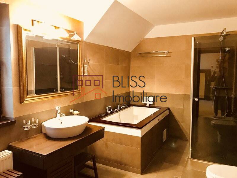 Casa de Vanzare Ciofliceni - 5 Camere - ID:47730 | Bliss Imobiliare / Photo 14 - BLISS Imobiliare