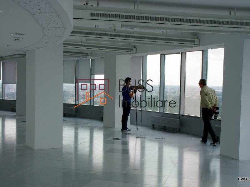 Photo 6 - BLISS Imobiliare