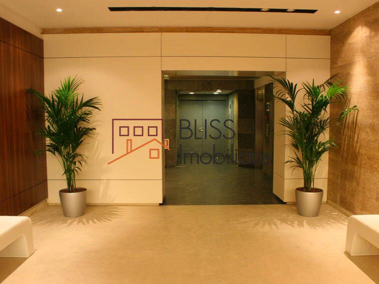Photo 11 - BLISS Imobiliare