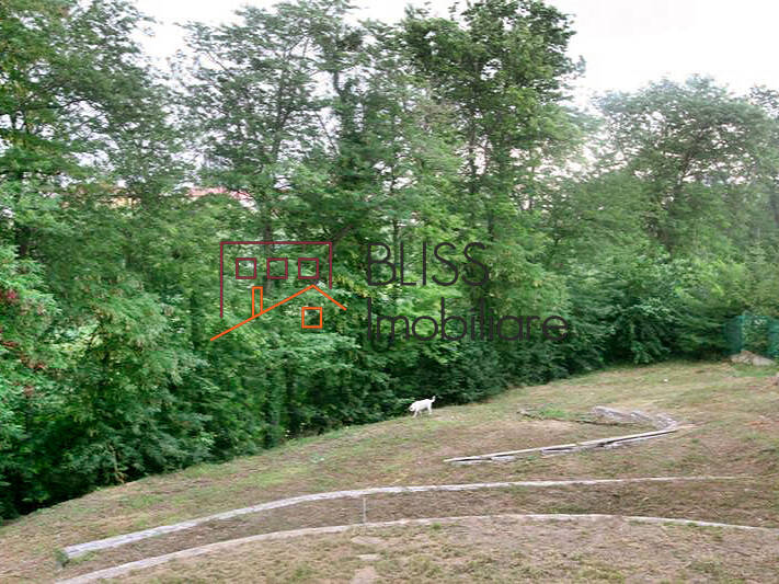 Vila Cu 6 Camere In Pipera | Bliss Imobiliare / Photo 23 - BLISS Imobiliare