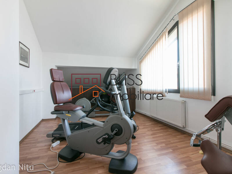 Vila de Inchiriat Herastrau | Nordului - 5 Camere - ID:47789 | Bliss Imobiliare / Photo 29 - BLISS Imobiliare