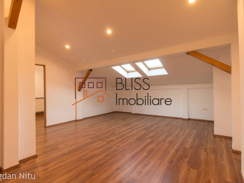 House for Rent Dorobanti | Primaverii | Kiseleff | Aviatorilor, Bucharest - 5 Bedroom - ID:2049 | Bliss Imobiliare / Photo 65 - BLISS Imobiliare