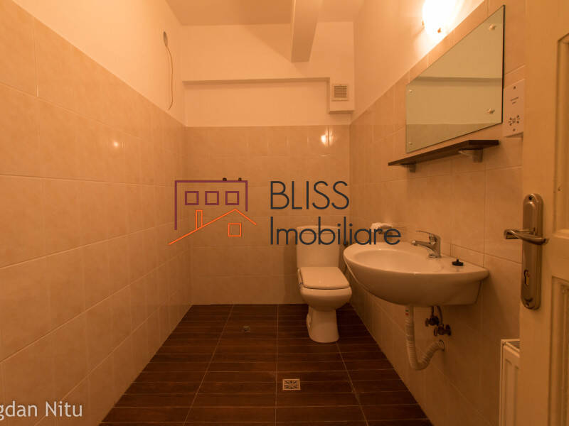 House for Rent Dorobanti | Primaverii | Kiseleff | Aviatorilor, Bucharest - 5 Bedroom - ID:2049 | Bliss Imobiliare / Photo 97 - BLISS Imobiliare