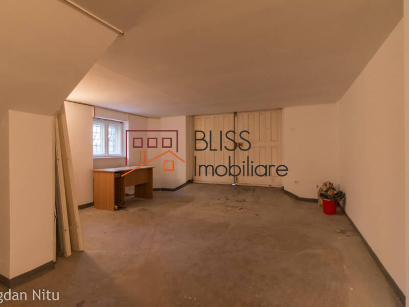 House for Rent Dorobanti | Primaverii | Kiseleff | Aviatorilor, Bucharest - 5 Bedroom - ID:2049 | Bliss Imobiliare / Photo 101 - BLISS Imobiliare