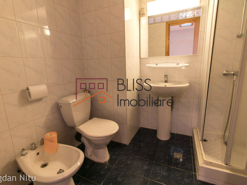 Villa for Rent Piata Victoriei, Bucharest - 3 Bedroom - ID:48007 | Bliss Imobiliare / Photo 19 - BLISS Imobiliare