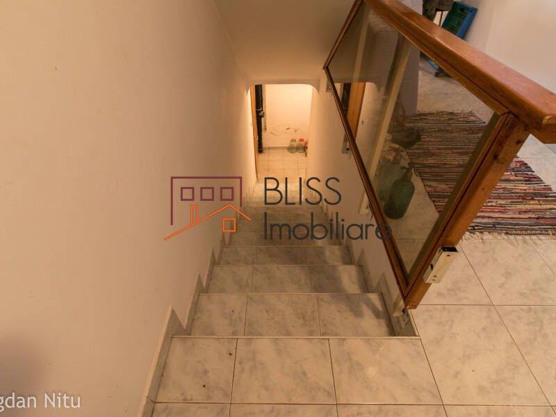 Villa for Sale Piata Victoriei, Bucharest - 3 Bedroom - ID:48007 | Bliss Imobiliare / Photo 33 - BLISS Imobiliare