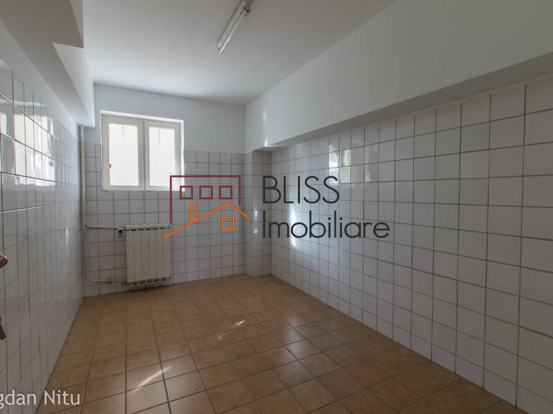 Vila de Inchiriat Dorobanti | Primaverii | Kiseleff | Aviatorilor - 8 Camere - ID:48599 | Bliss Imobiliare / Photo 18 - BLISS Imobiliare