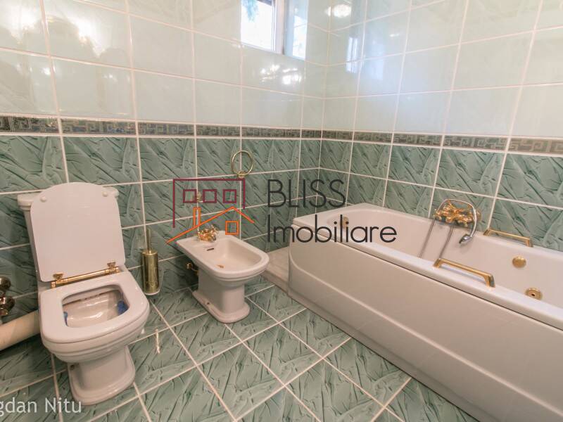 Villa for Rent Dorobanti | Primaverii | Kiseleff | Aviatorilor, Bucharest - 7 Bedroom - ID:48599 | Bliss Imobiliare / Photo 39 - BLISS Imobiliare