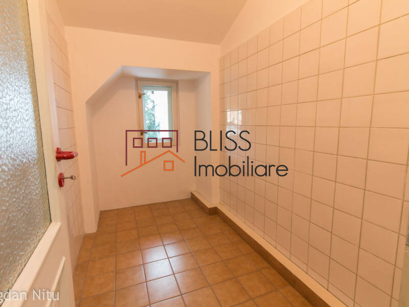 Vila de Inchiriat Dorobanti | Primaverii | Kiseleff | Aviatorilor - 8 Camere - ID:48599 | Bliss Imobiliare / Photo 50 - BLISS Imobiliare