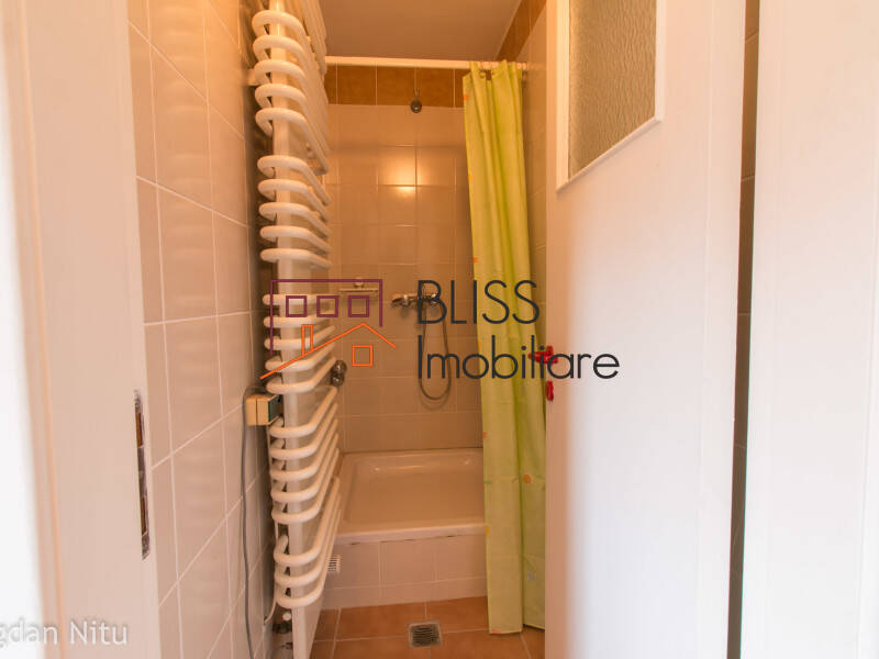 Vila de Inchiriat Dorobanti | Primaverii | Kiseleff | Aviatorilor - 8 Camere - ID:48599 | Bliss Imobiliare / Photo 65 - BLISS Imobiliare