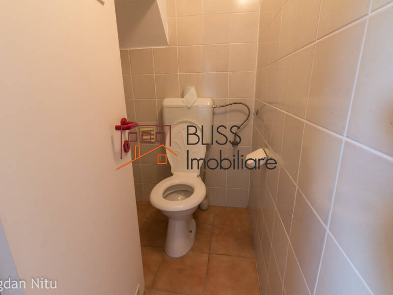 Vila de Inchiriat Dorobanti | Primaverii | Kiseleff | Aviatorilor - 8 Camere - ID:48599 | Bliss Imobiliare / Photo 66 - BLISS Imobiliare