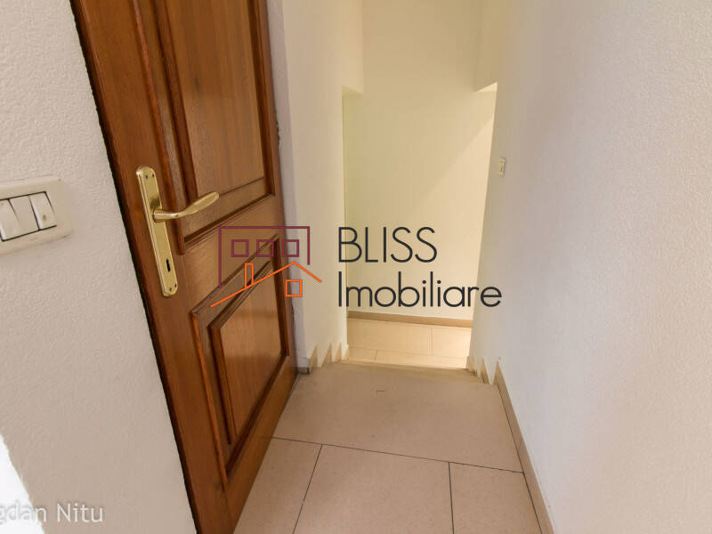 Vila de Inchiriat Herastrau | Nordului - 9 Camere - ID:30425 | Bliss Imobiliare / Photo 55 - BLISS Imobiliare