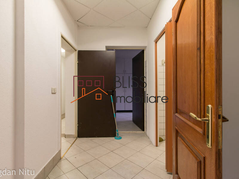 Villa for Rent Herastrau | Nordului, Bucharest - 5 Bedroom - ID:30425 | Bliss Imobiliare / Photo 59 - BLISS Imobiliare