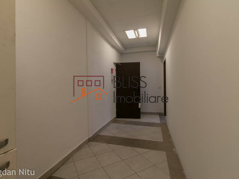Vila de Inchiriat Herastrau | Nordului - 9 Camere - ID:30425 | Bliss Imobiliare / Photo 61 - BLISS Imobiliare