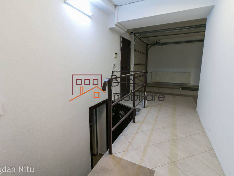 Vila de Inchiriat Herastrau | Nordului - 9 Camere - ID:30425 | Bliss Imobiliare / Photo 70 - BLISS Imobiliare